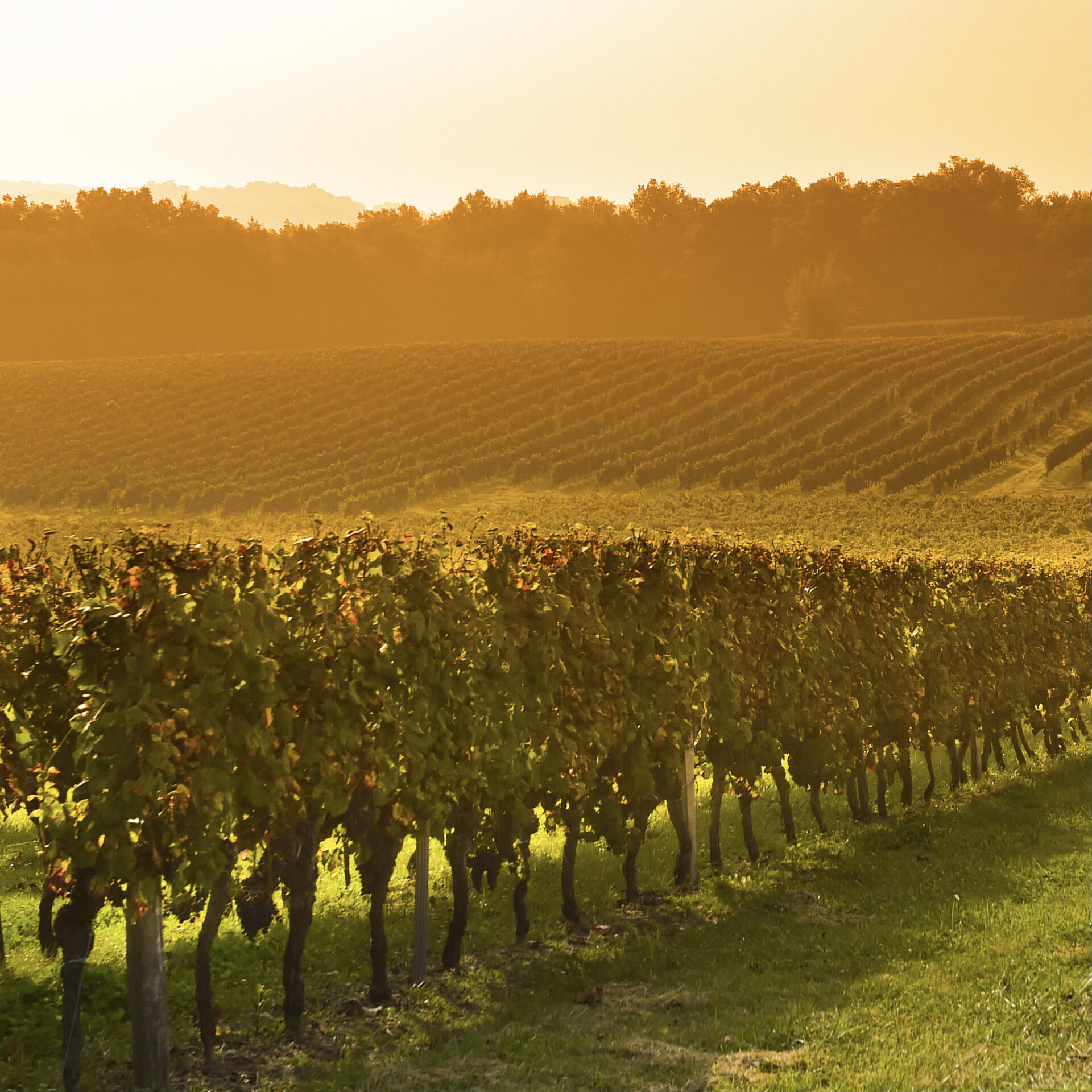 Morrhof Eintreten & sich wohlfühlen